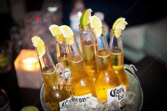 Bottles of Corona beer in a bucket