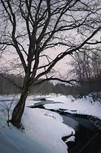 The beginning of spring