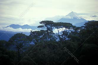 Sangay Volcano Mountain Jungle Landscape