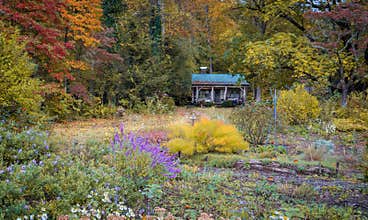 Colorful fall artistry in Pisgah Forest, NC