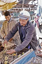 Oyster seller in the port of Essaouira.