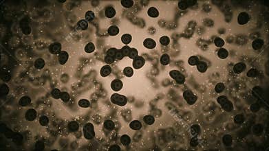 Viruses attacking cells or bacterias under microscope 3d rendering