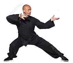 Master of tai-chi
