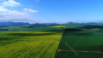 Aerial Footage of vegetated fields in South Africa