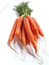 Bunch of Carrots
