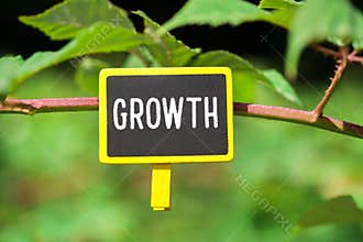 Growth on board