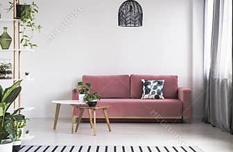 Plant on table in front of red couch in bright living room interior with lamp. Real photo