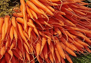 Carrots