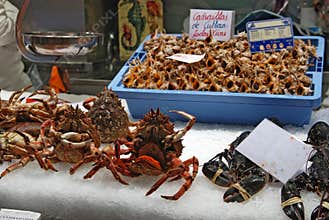 Valencia Food Market