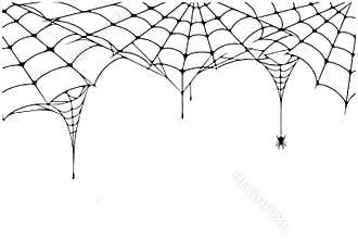 Scary spider web background. Cobweb background with spider. Spooky spider web for Halloween decoration
