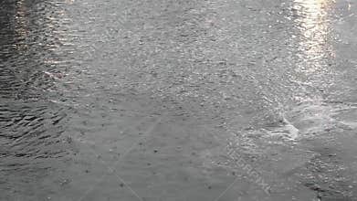 Cars and rain in the afternoon