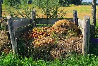Compost pile