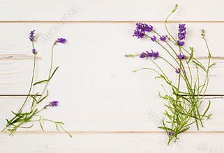 Lavender Flower Blossoms on Stems with leaves as Borders of White Paper Card on Distressed White Shiplap Board Background with roo