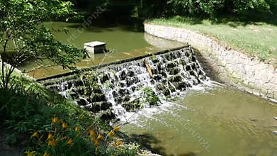 Small dams cleanse the watercourse of the river.