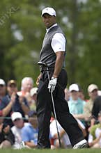 Tiger Woods