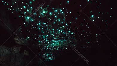 Waitomo Glowworm Caves, New Zealand