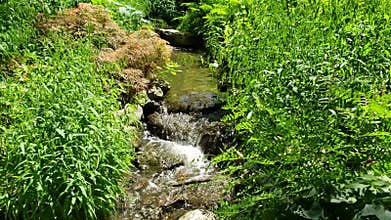 Nice landscapes design with waterfall in the garden