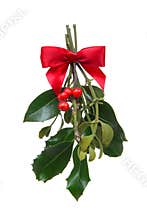 Holiday Christmas Mistletoe