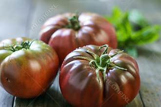 Fresh Black Brandywine Organic Tomatoes and basil on a wooden table.