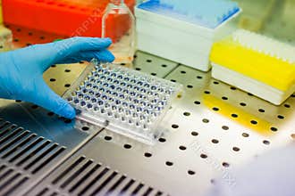 Laboratory work with tissue cultures