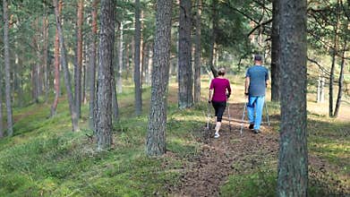 Active seniors doing nordic walking in the woods