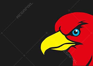 Red eagle with yellow beak Vector