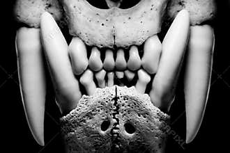 Skull isolated over black - evil