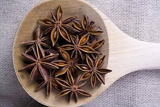 Anise on Wooden Spoon