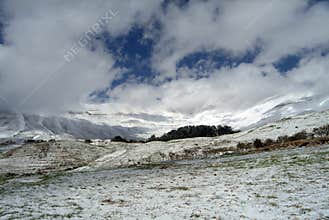 The famous Cedars of Lebanon Reserve on the slopes of Qurnat as Sawda in Lebanon