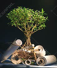 Tree of knowledges
