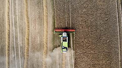 Combine harvesting crop on the field