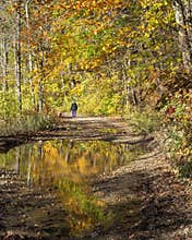 Dog walker fall colors