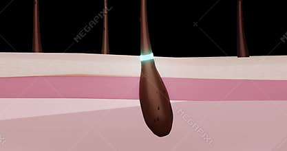 3d animation of hair restoration mesh nutrition, restoration, smoothing