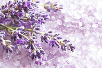 Lavender bath salt and lavender flowers, spa concept