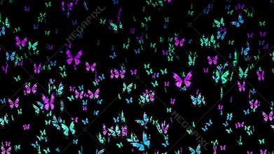 Many colorful butterflies flying in air on black background. Nature concept.  Butterfly flapping. Illustration of insects. Loop.