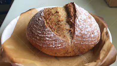 Freshly baked sourdough bread in baking dish rotation
