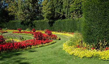 Formal flower gardens with red and yellow flowers in Regent`s Park in central London UK. The flower beds are planted for autumn.