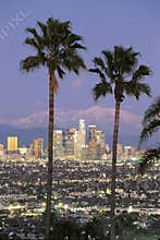 View through palm trees of Los Angeles skyline