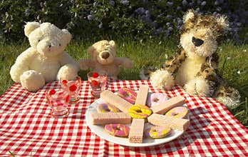 Bears picnic
