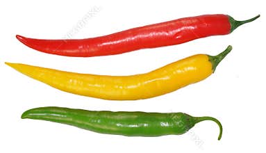 Hot chilli peppers