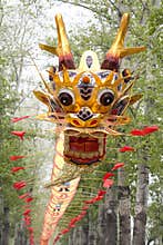 Beautiful Chinese Dragon Kite