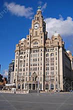 Liver Building