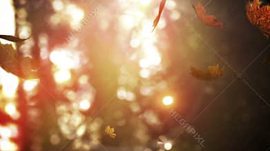 Animation of autumn leaves falling over autumn foliage