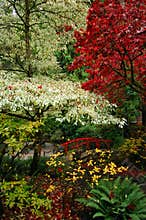 Japanese Gardens