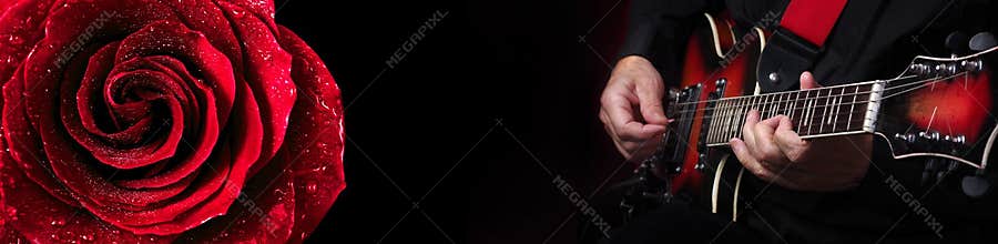 Guitarist hands and guitar close up. playing electric guitar and red rose in water drops. copy spaces.