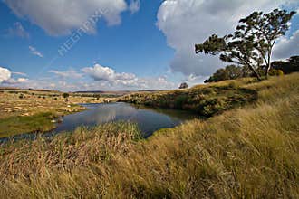 Tranquil lake in Mpumalanga, South Africa