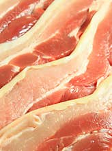 Fresh Pork Meat