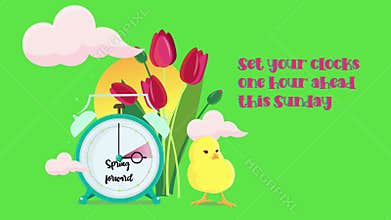 Setting clocks ahead. DST saving time banner animation with tulips, sunset, chick and clouds. Spring forward. Chroma key