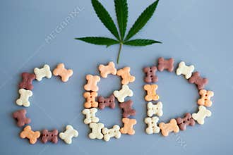 CBD lettering written from dog or cat food. CBD cannabis or hemp content in pet treats