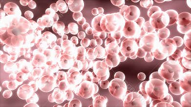 Science, biology and medical, human cells.